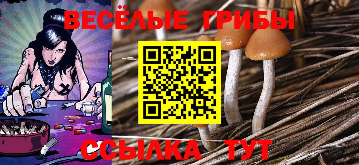 Чехов  где продают наркотики  Галлюциногенные грибы MAGIC MUSHROOMS  Вход с VPN  Псилоцибиновые грибы Cubensis 